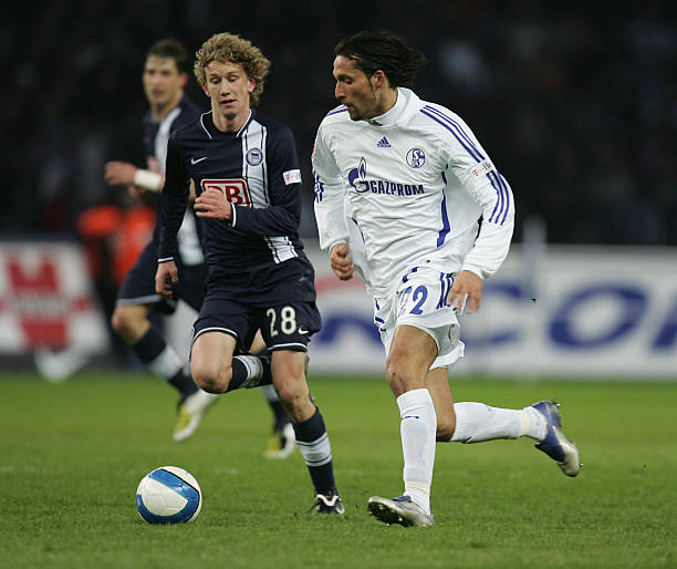 可持续性的 可持续性的